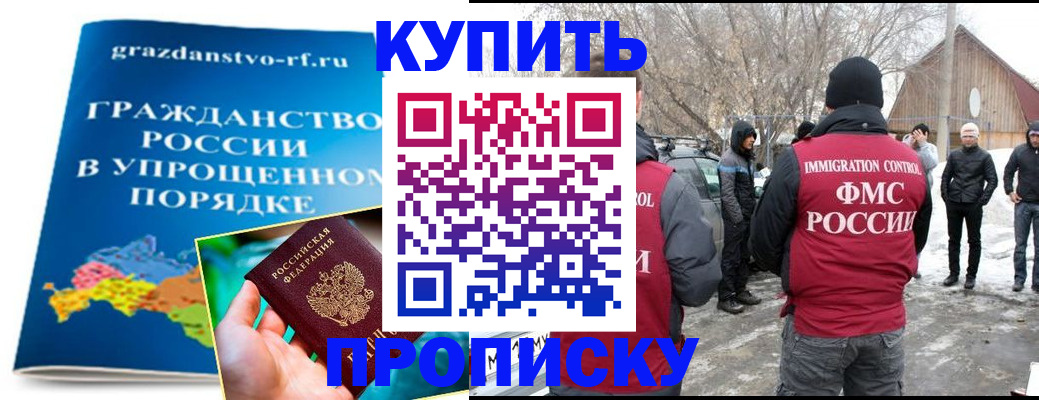 временная регистрация поиск в Елизово